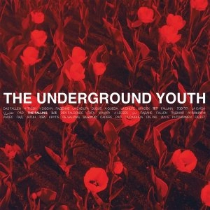 Image of The Underground Youth - The Falling Vinyl