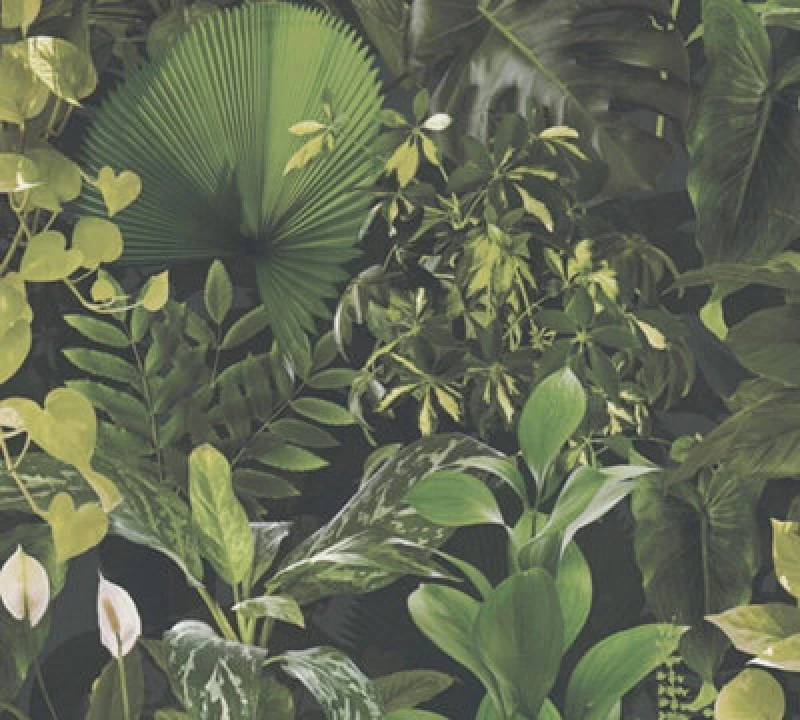Image of As Creation Tropical Jungle Dark Green Plants Leaves Wallpaper Paste The Wall