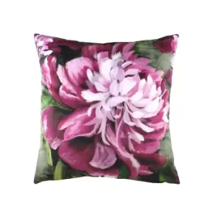 Image of Evans Lichfield Winter Florals Peony Cushion Cover (43cm x 43cm) (Fuchsia/Green)