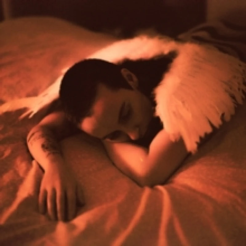 Image of Midnight Butterflies Cassette Tape (Coloured)