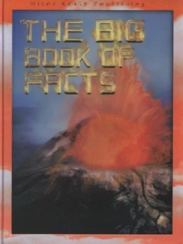 Image of The Big Book of Facts by Brian Williams Hardback