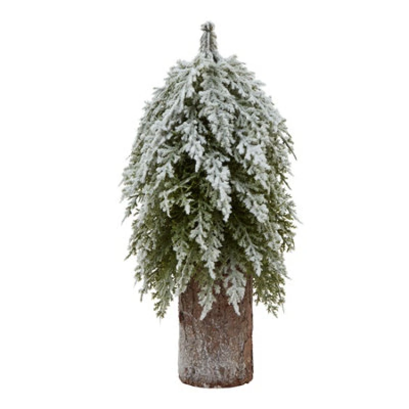 Image of Small Snowy Fir Tree On Tall Wood Log