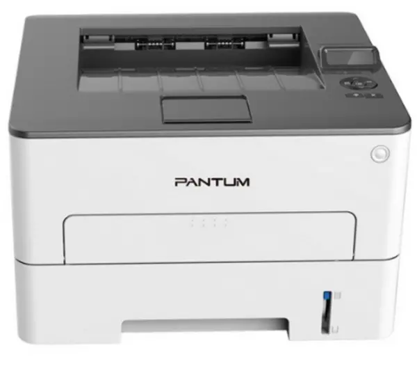 Image of Pantum P3010DW Laser Printer