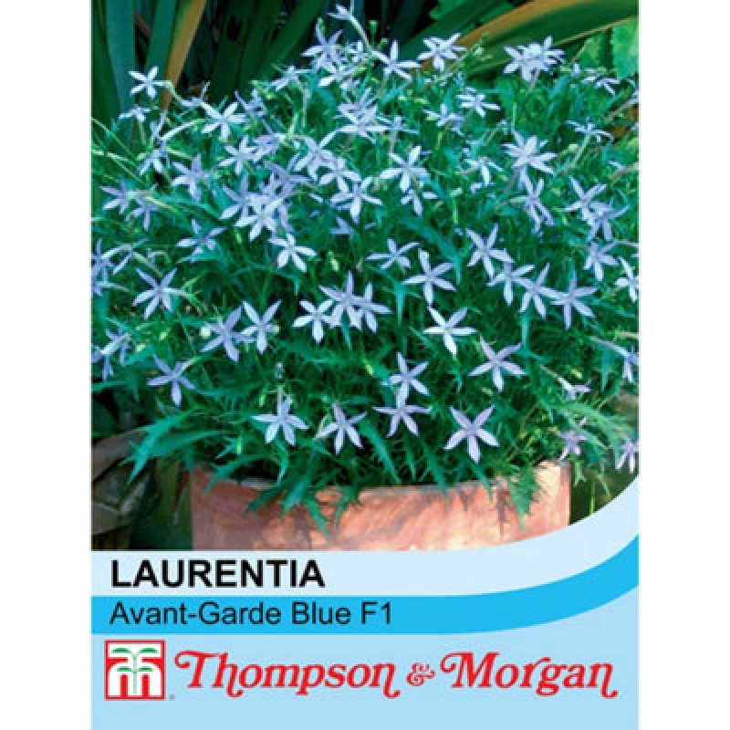 Image of Thompson & Morgan Laurentia Avant-Garde Blue F1 Hybrid 1 Seed Packet (50 Seeds)