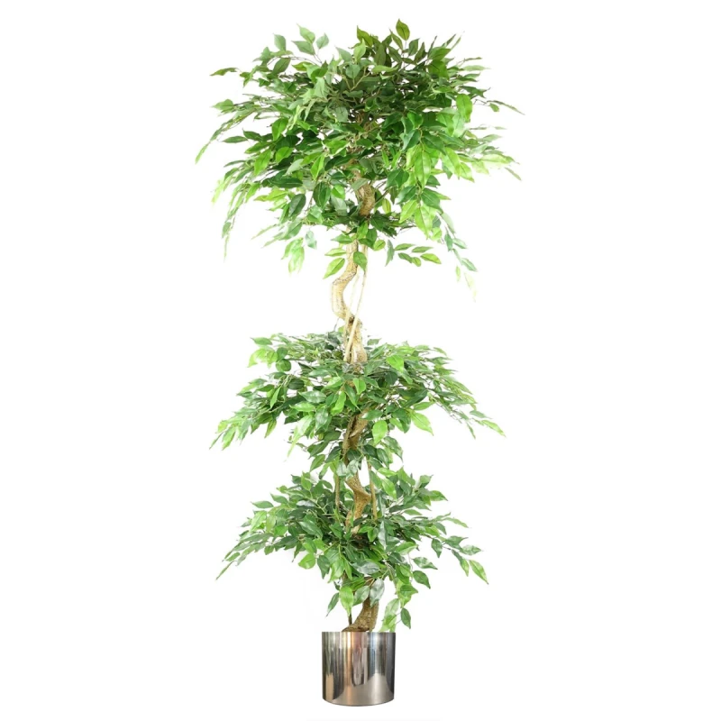 Image of N/A 180cm Artificial Twisted Trunk Fruticosa Ficus Tree Triple Ball Topiary 1984 Leaves Silver Metal Planter