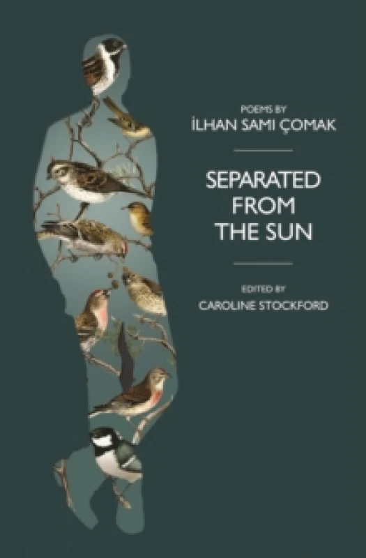 Image of Separated from the Sun Paperback / softback