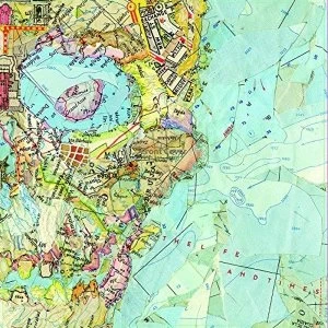 Image of Life And Times - Skull Map Vinyl