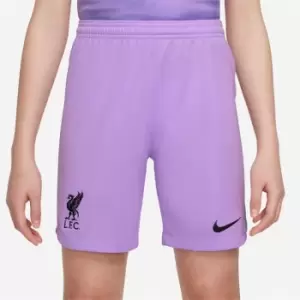 Image of Nike Liverpool FC 2022/23 Home Nike DRI-FIT Goalkeeper Shorts Junior - Red