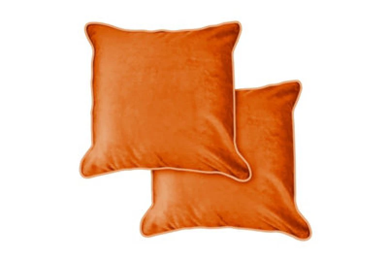 Image of Plush Velvet Cushion Cover In Burnt Orange