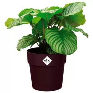 Image of Plant Pot Mulberry 7.1x6.7 IN 2,9L