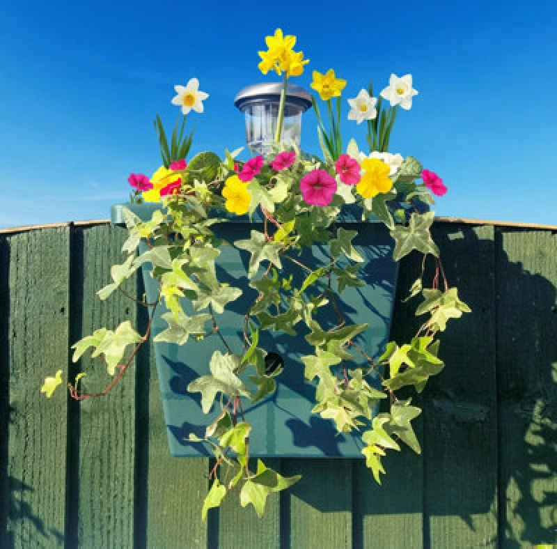 Image of You Garden Yougarden 4-In-1 Self Watering Go Illumiwell Planter, Forest Green, 3L Water Reservoir, Solar Fence Light, Garden Decor