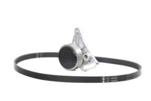 Image of INA V-ribbed belt set 529 0099 10 Serpentine belt kit,Auxiliary belt kit VW,AUDI,SKODA,PASSAT Variant (3B6),PASSAT Variant (3B5),PASSAT (3B3)