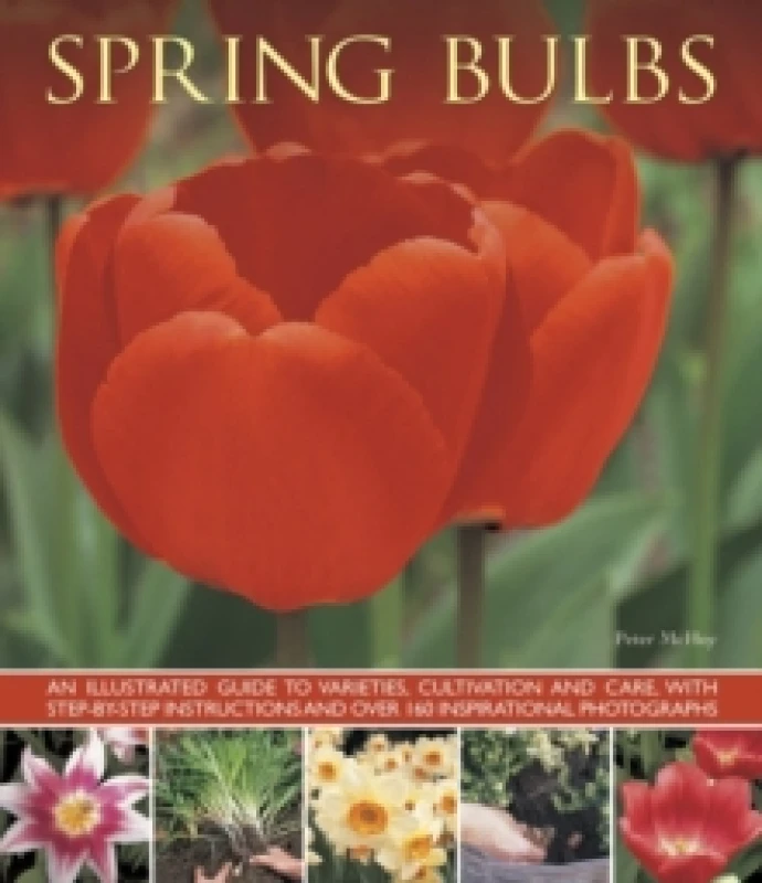 Image of Spring Bulbs Paperback / softback