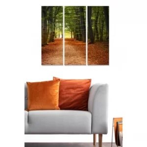 Image of MDF3742884 Multicolor Decorative MDF Painting (3 Pieces)