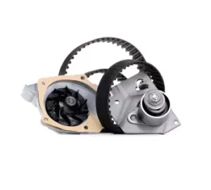 Image of SNR Water Pump + Timing Belt Kit RENAULT,NISSAN,SUZUKI KDP455.560 1302800QAC,13028AW301,13028AW310 1307000Q0E,13070AW300,2101000Q0N,21010AW300