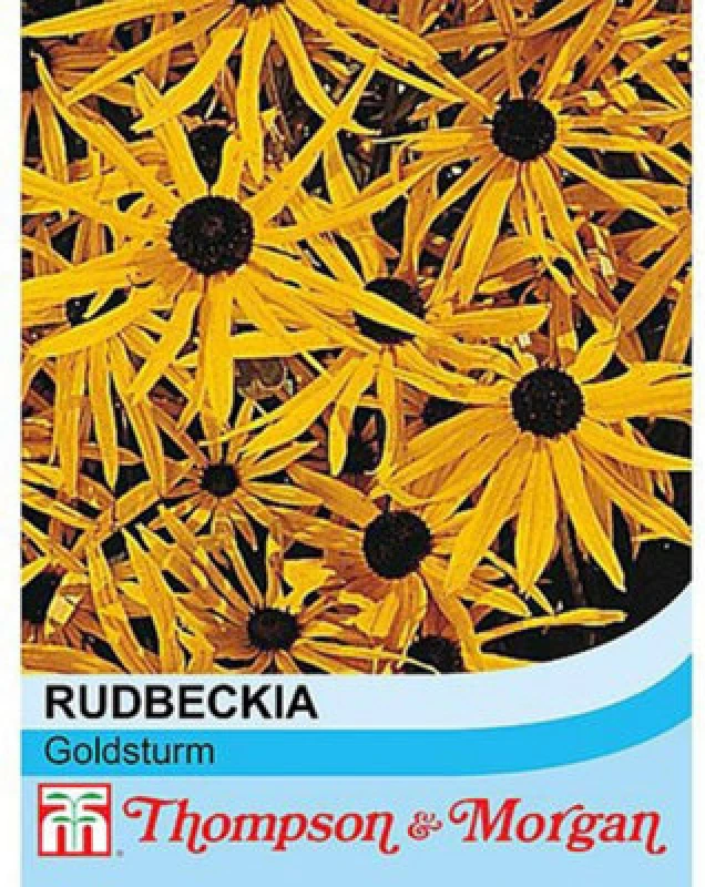 Image of Thompson & Morgan Rudbeckia Goldsturm 1 Seed Packet (100 Seeds)