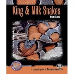 Image of King & milk snakes by Adam Black