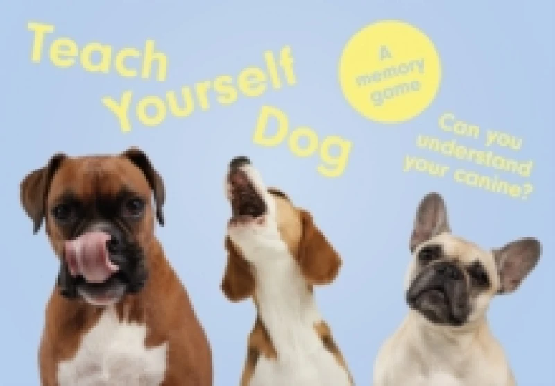 Image of Teach Yourself Dog : A memory game Cards