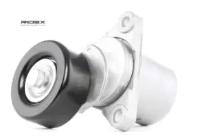 Image of RIDEX Tensioner Pulley 310T0041 Tensioner Pulley, v-ribbed belt HYUNDAI,KIA,i30 (FD),GETZ (TB),TUCSON (JM),SANTA FE II (CM),i30 CW (FD)