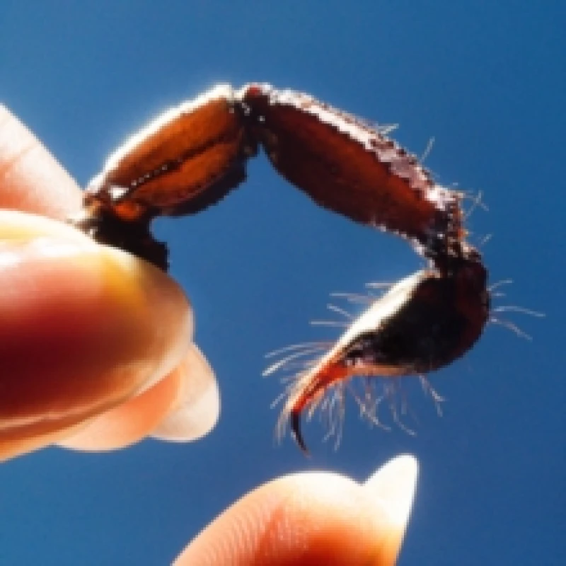 Image of Cowards Vinyl