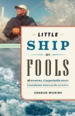 Image of Little Ship of Fools by Charles Wilkins