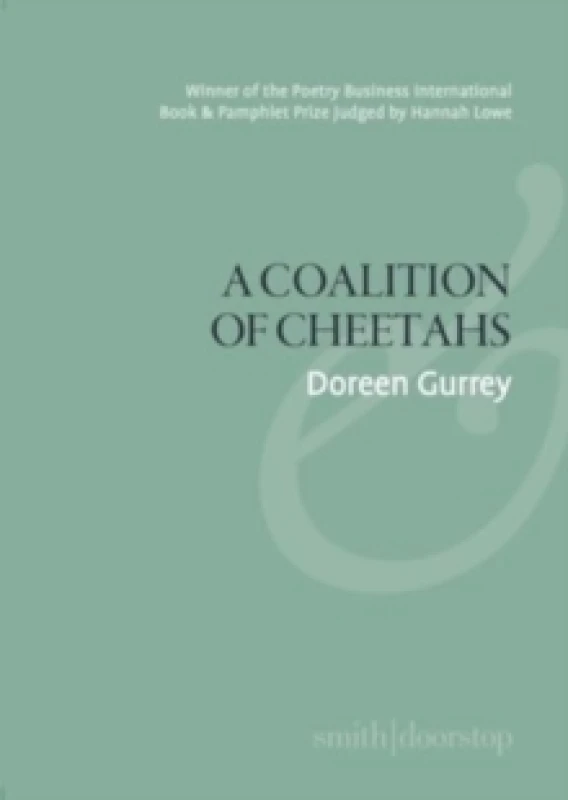 Image of A Coalition of Cheetahs Paperback / softback