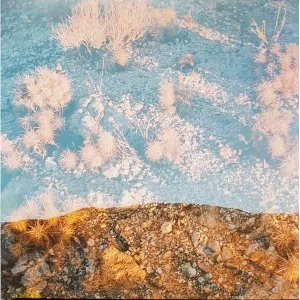 Image of Moon Gangs - Earth Loop Vinyl