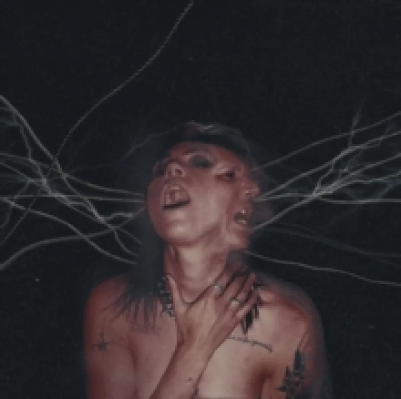 Image of A Call to the Void Vinyl