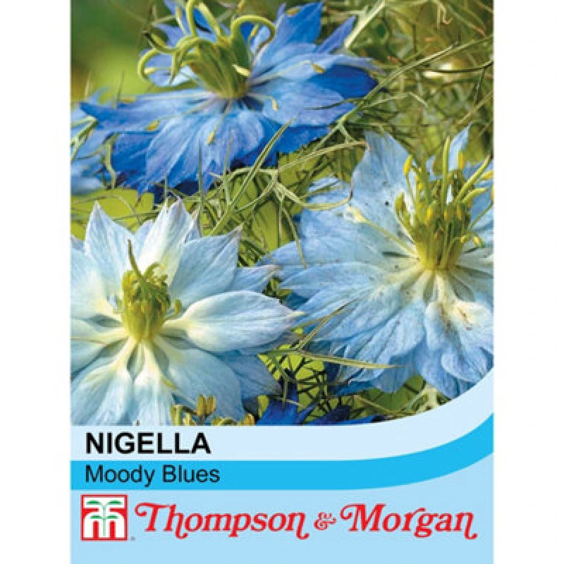 Image of Thompson & Morgan Nigella Damascena Moody Blues 1 Seed Packet (200 Seeds)