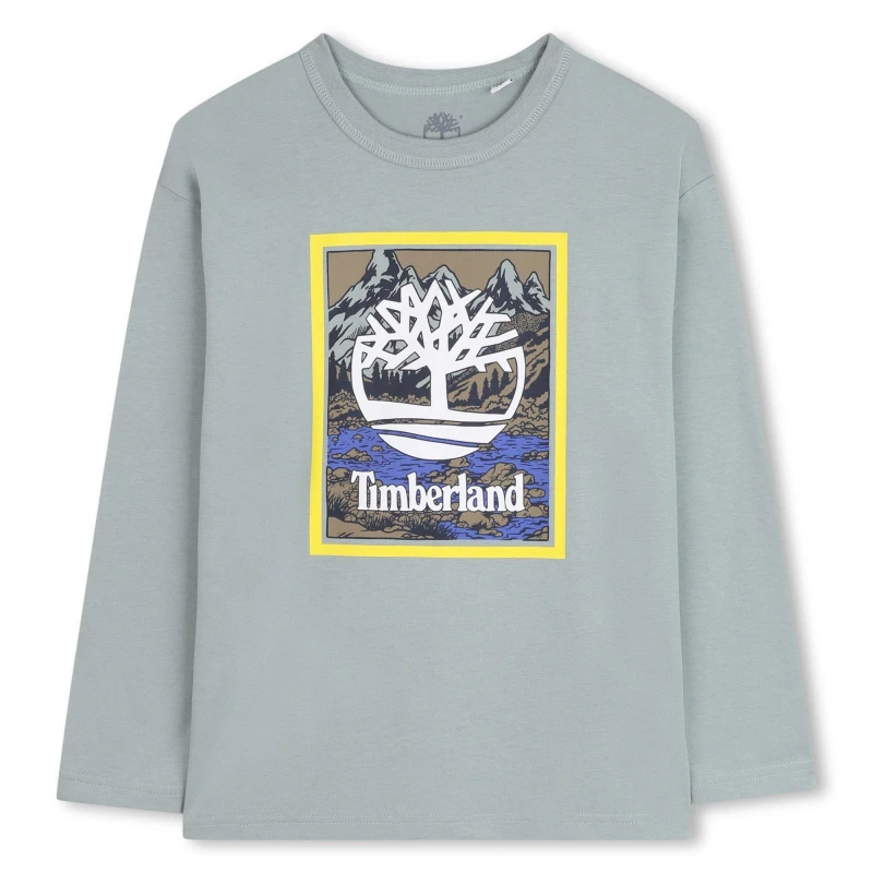 Image of Timberland Kids Timb Logo Long Sleeve T-Shirt Grey male 14 Years