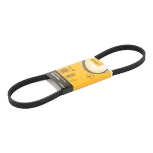 Image of CONTITECH V-ribbed belt BMW 4PK850 ELAST 11287631826,64557793608,7793608 Serpentine belt,Auxiliary belt,Poly V-belt,Ribbed belt,Multi V-belt,Poly belt