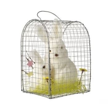 Image of Two Rabbits In A Cage By Heaven Sends