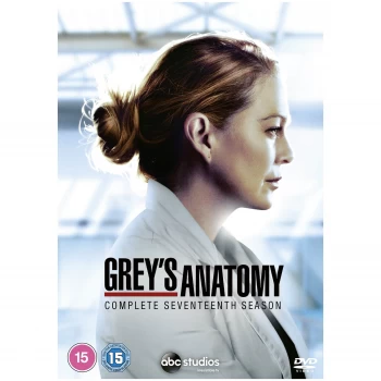 Image of Grey's Anatomy - Season 17