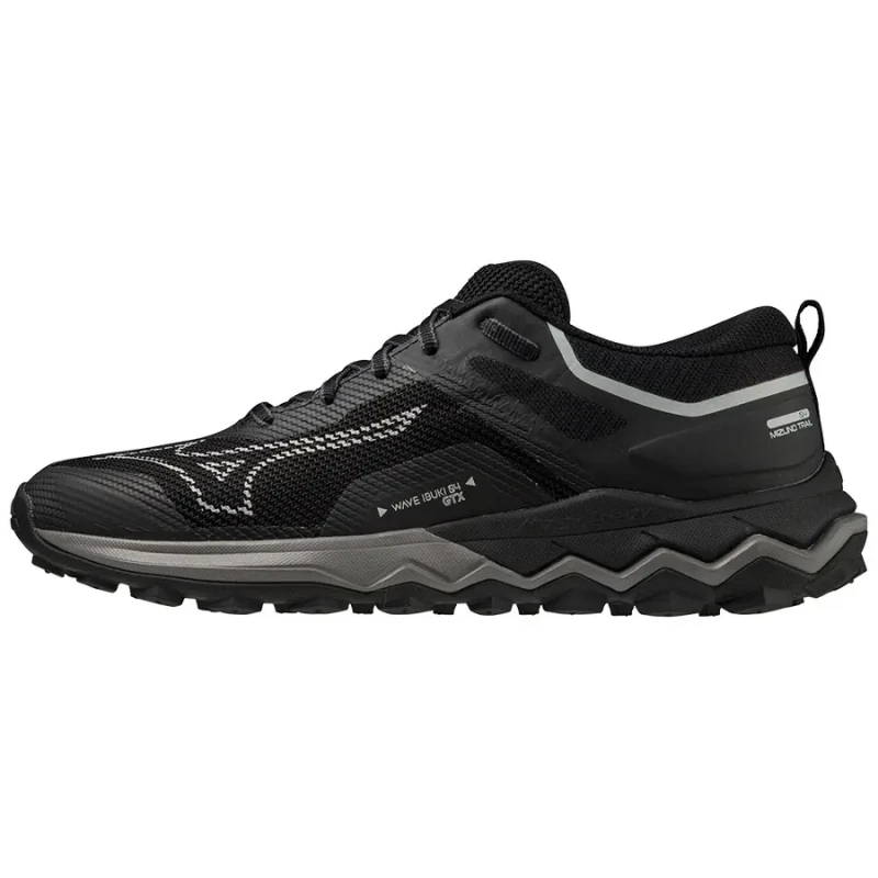 Image of Running shoes Mizuno WAVE IBUKI 4 GTX Noir Male 37