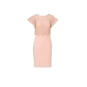 Image of Adrianna Papell Sequin Guipure Crepe Dress - Nude