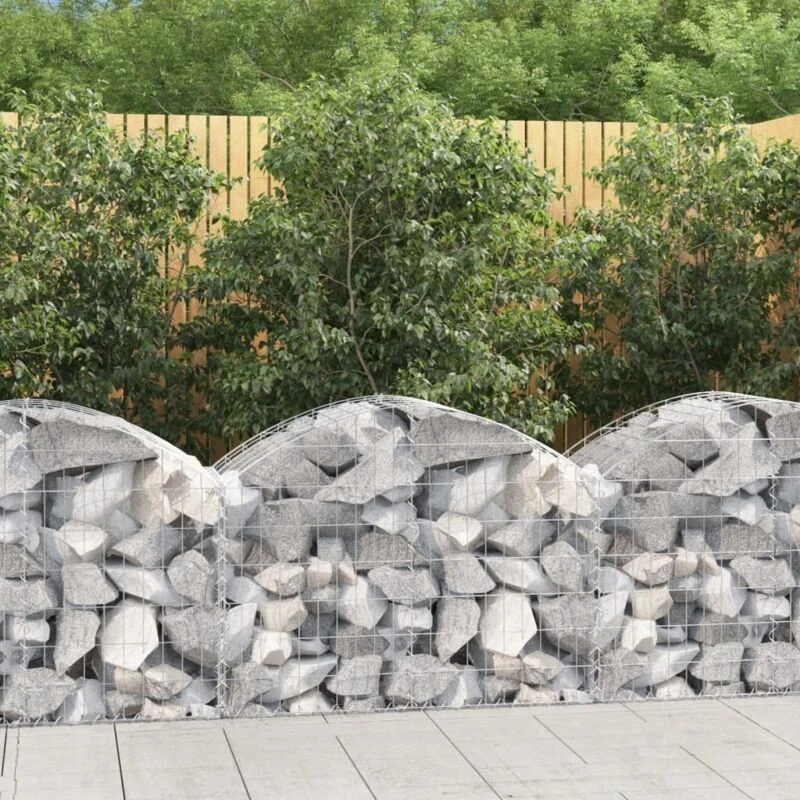 Image of VIDAXL Vidaxl - Arched Gabion Basket 100x50x60/80cm Galvanised Iron 8720845650964