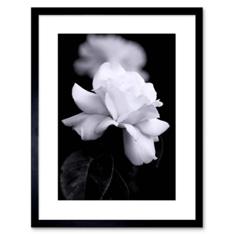 Image of Artery8 Wall Art Print Photo Nature Black White Rose Petal Flower Artwork Framed 9X7 Inch