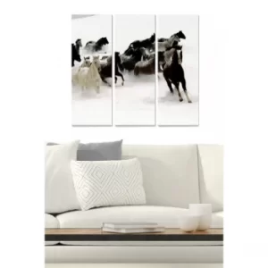 Image of MDFFTR1018 Multicolor Decorative MDF Painting (3 Pieces)