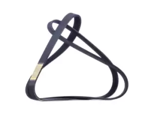 Image of RIDEX V-ribbed belt 305P0287 Serpentine belt,Auxiliary belt VW,AUDI,FORD,GOLF VI (5K1),Transporter IV Bus (70B, 70C, 7DB, 7DK, 70J, 70K, 7DC, 7DJ)