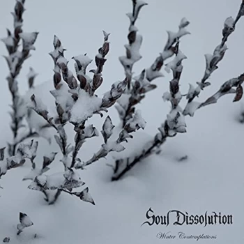Image of Soul Dissolution - Winter Contemplations Vinyl