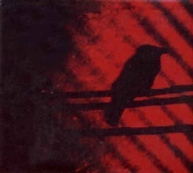 Image of Born Into Trouble As the Sparks Fly Upward Vinyl