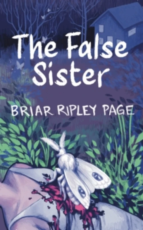 Image of The False Sister Paperback / softback