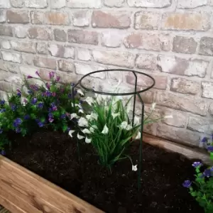 Image of Tom Chambers Green Metal Herbaceous Garden Plant Support Ring Small