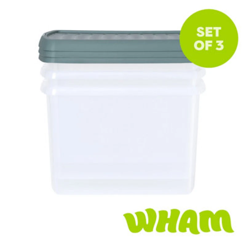 Image of Wham Clip 3X 21.5L Rectangular Plastic Storage Boxes With Clip Lock Lids. Ideal For Home, Office, Toys & More - Clear/green Milieu