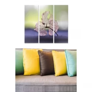 Image of MDF2541619 Multicolor Decorative MDF Painting (3 Pieces)