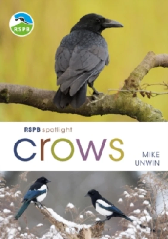 Image of RSPB Spotlight Crows Paperback / softback