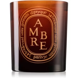 Image of Diptyque Ambre Scented Candle 300g