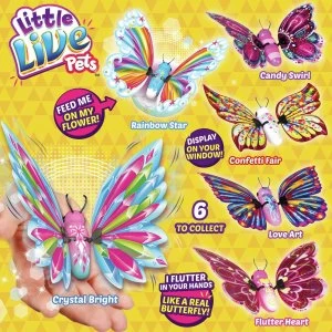 Image of Little Live Pets Flutter Wings Butterflies