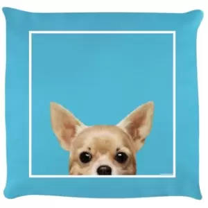 Image of Inquisitive Creatures Chihuahua Filled Cushion (One Size) (Sky Blue) - Sky Blue