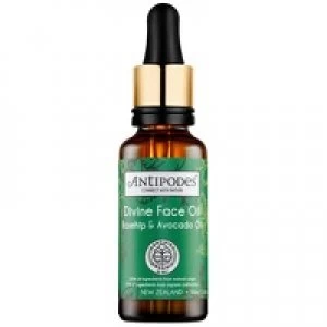 Image of Antipodes Daily Ultra Care Divine Face Oil Rosehip and Avocado Oil 30ml